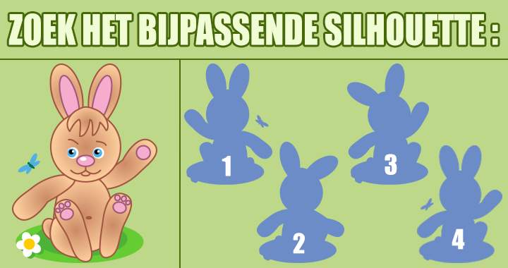 Als je het bijpassende silhouette kunt vinden, maak je kans in deze quiz!