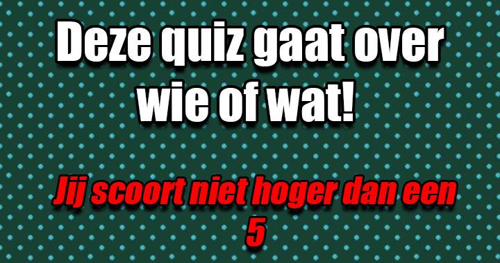 Wie of wat zoeken we?