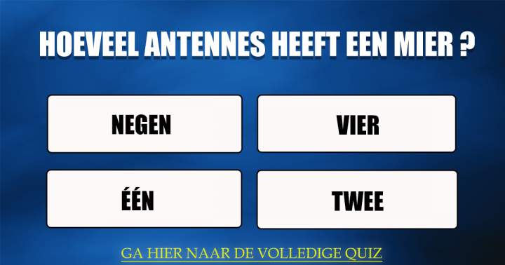 Trivia uitdaging voor experts