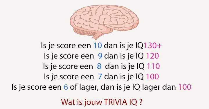 Wat is jouw Trivia Quiz?