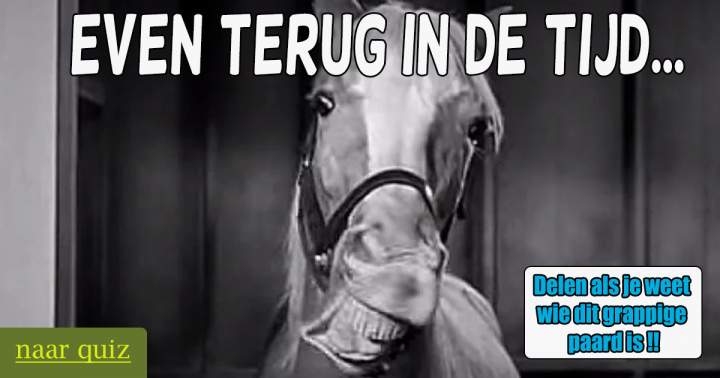 Herken jij het paard?