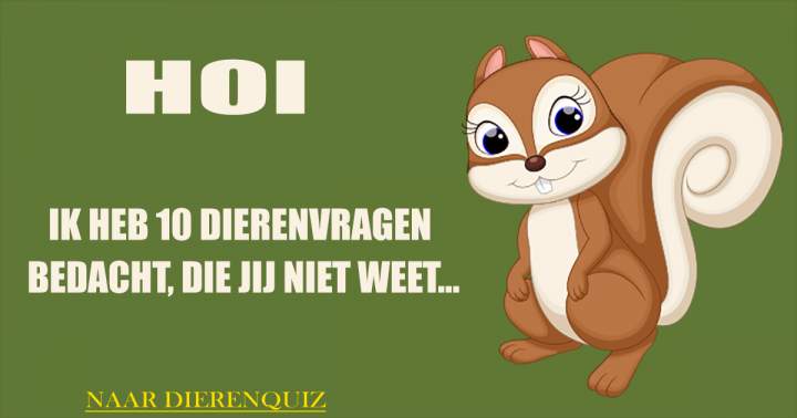 Quiz: Dierenquiz