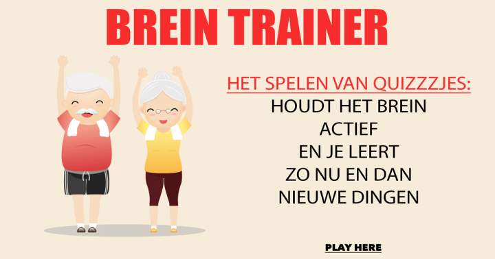 Brein Trainer