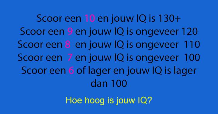 Meet hier jouw IQ